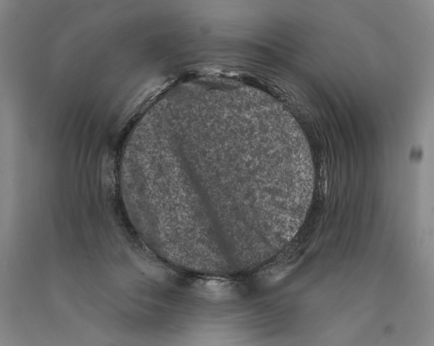 X0000089910506200707271717