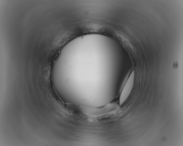 X0000089910509200707271717