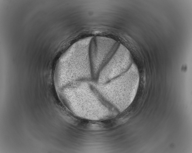 X0000089910510200707271717