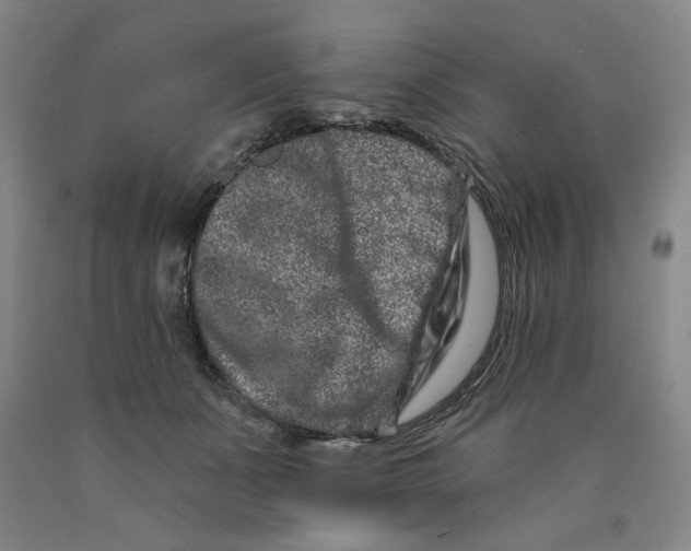 X0000089910511200707271717