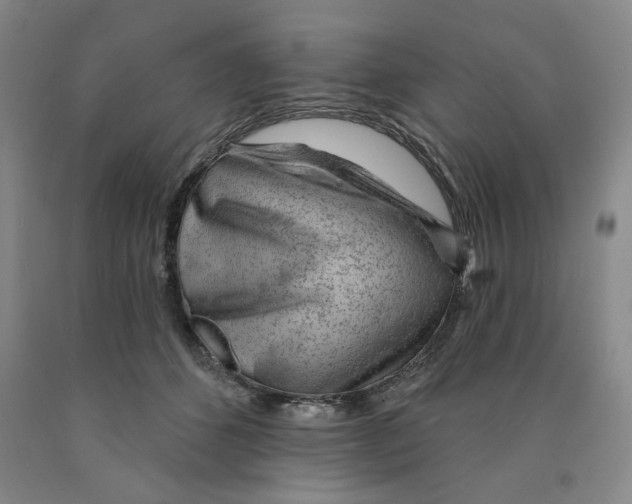 X0000089910512200707271717