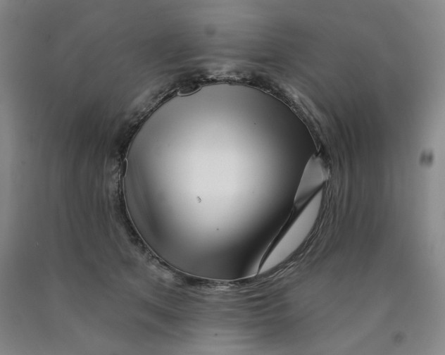 X0000089910513200707271717