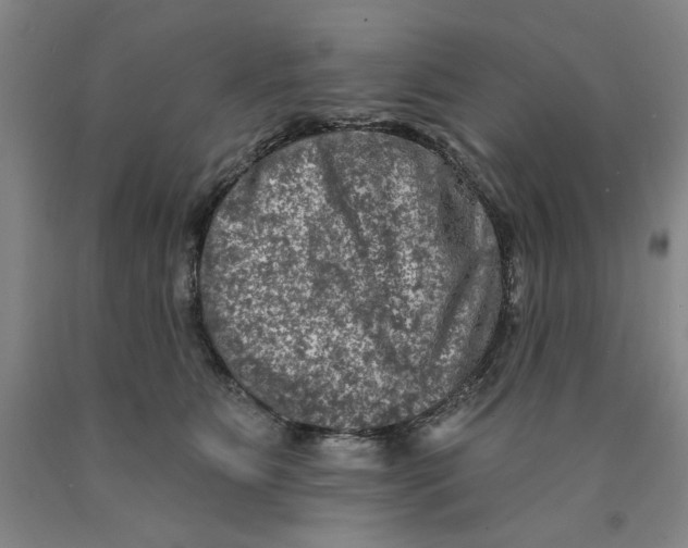 X0000089910515200707271717