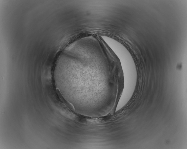 X0000089910516200707271717