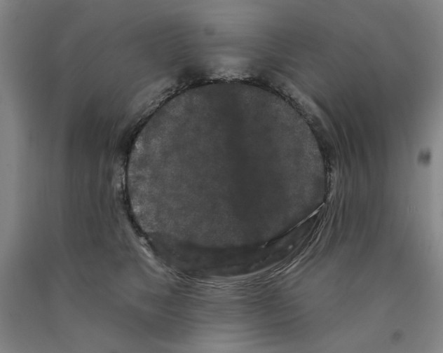 X0000089910517200707271717