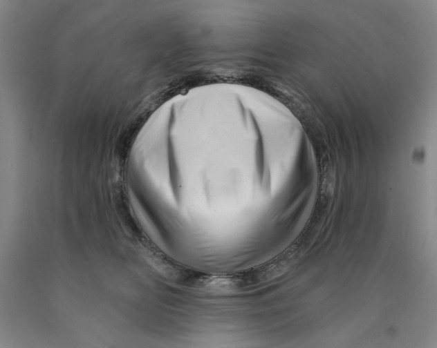 X0000089910518200707271717