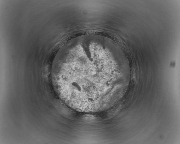 X0000089910519200707271717