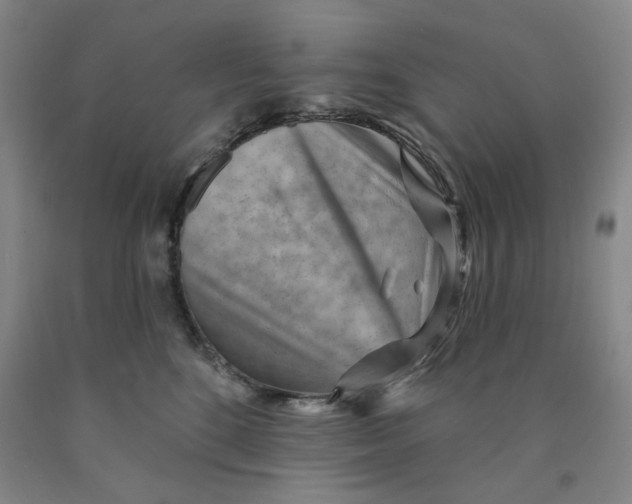 X0000089910520200707271717