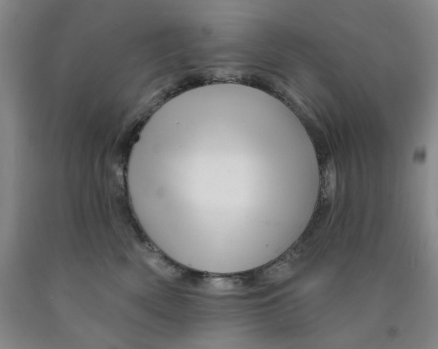 X0000089910522200707271717