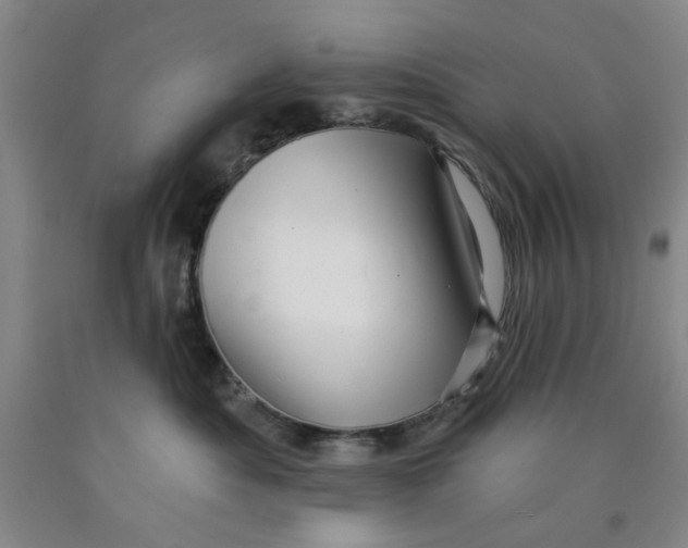 X0000089910525200707271717