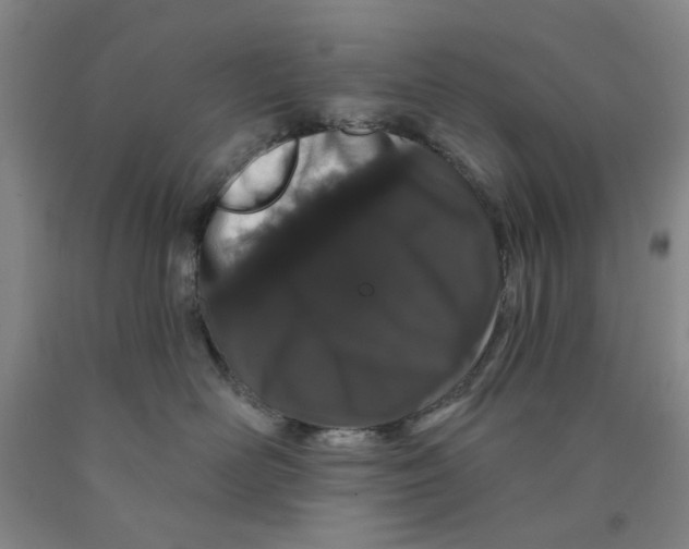 X0000089910526200707271717