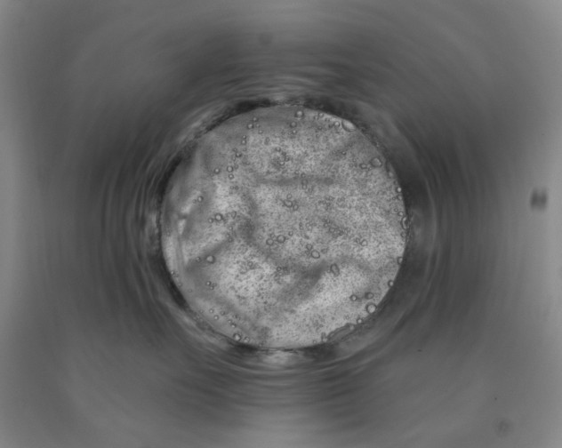 X0000089910527200707271717