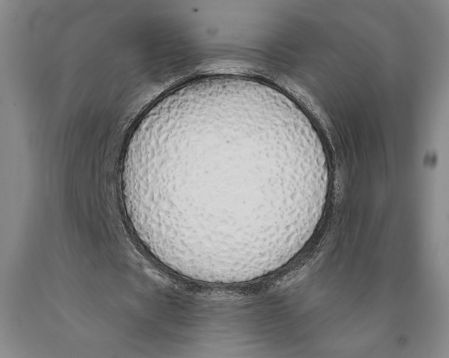 X0000089910529200707271716