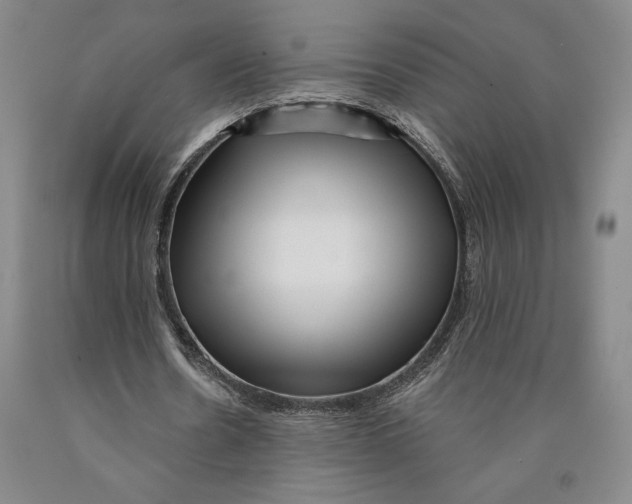 X0000089910530200707271716