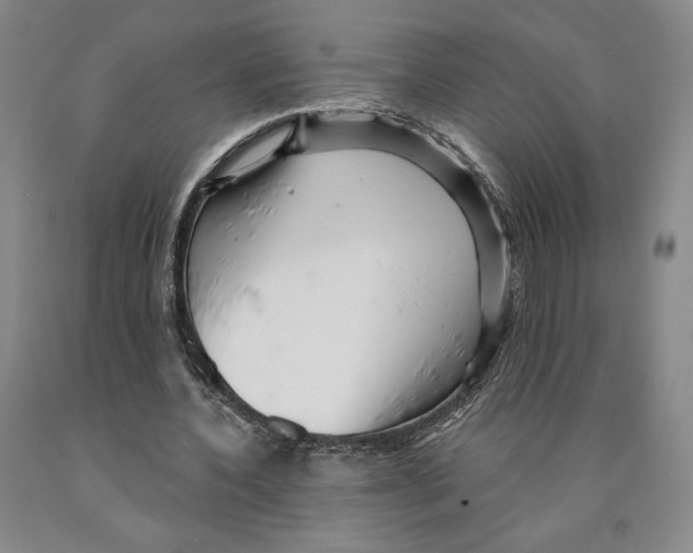 X0000089910532200707271716