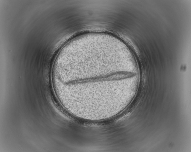 X0000089910533200707271716