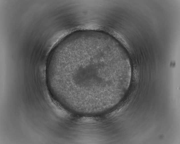 X0000089910534200707271716