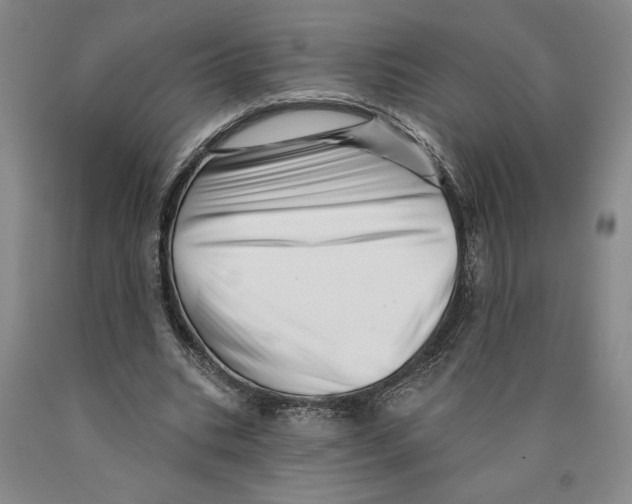 X0000089910535200707271716