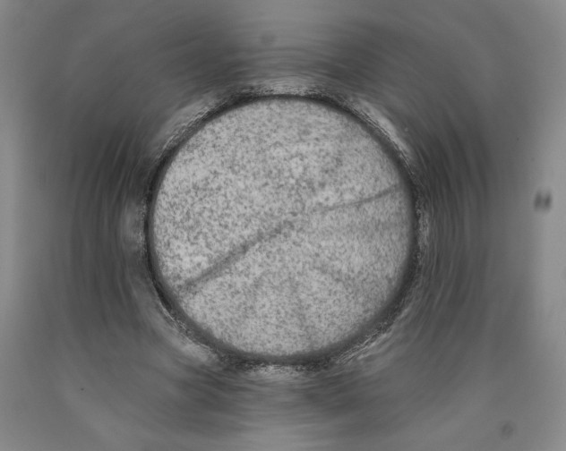 X0000089910537200707271716