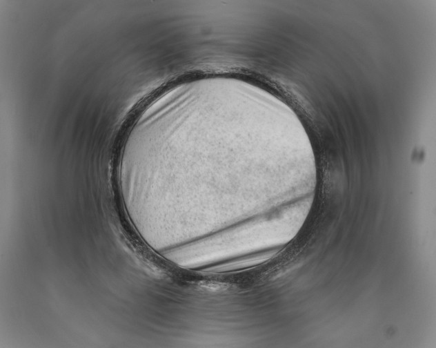 X0000089910539200707271716