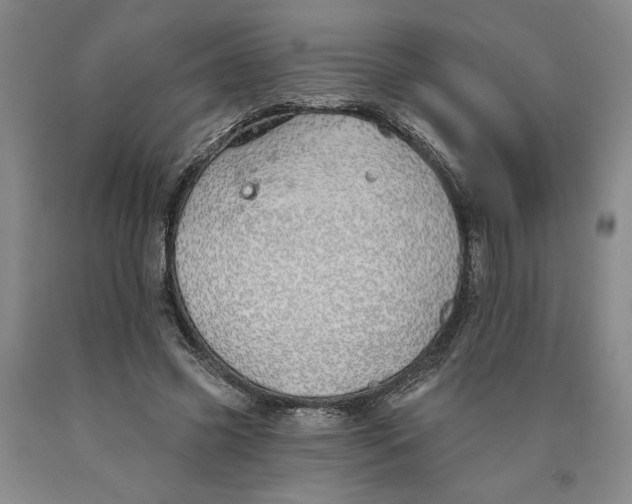 X0000089910541200707271716