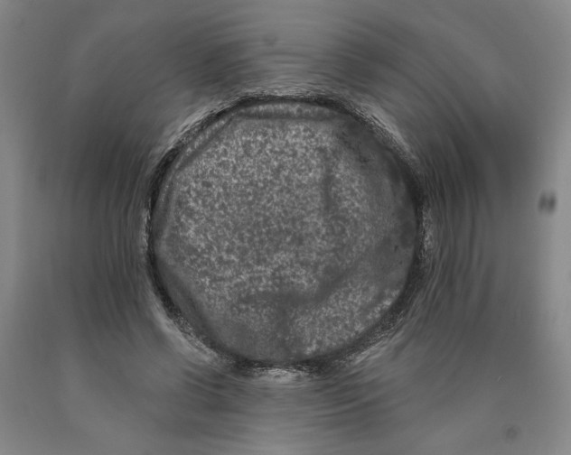 X0000089910542200707271716