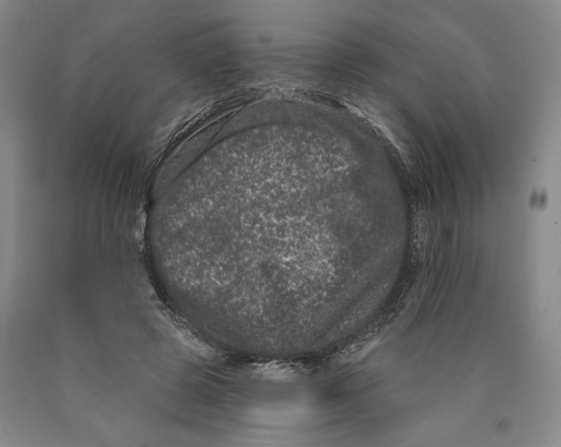 X0000089910545200707271716