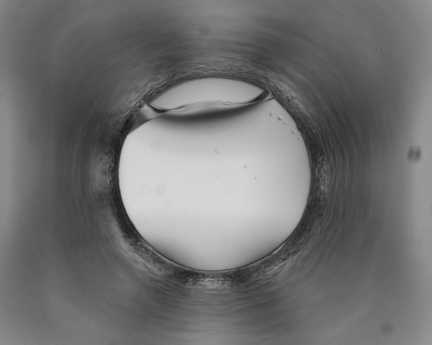 X0000089910546200707271716