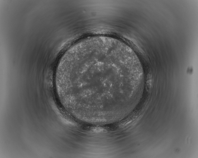 X0000089910547200707271716