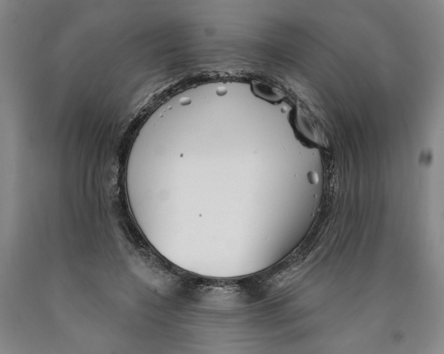 X0000089910548200707271716