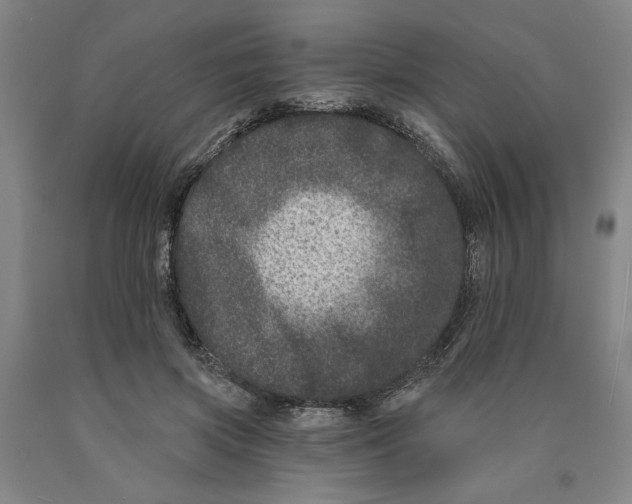 X0000089910549200707271716