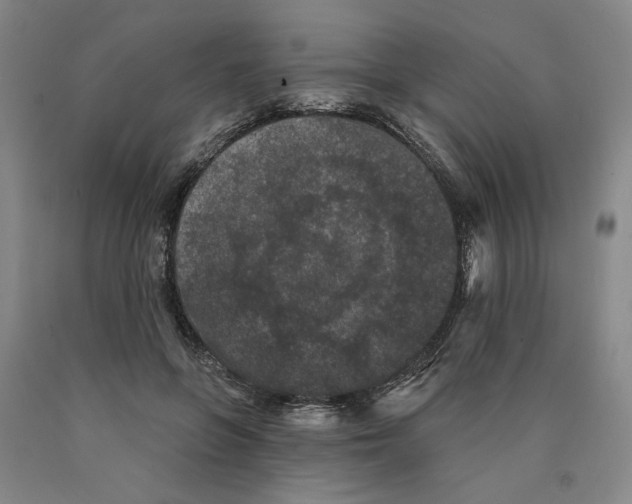 X0000089910551200707271716