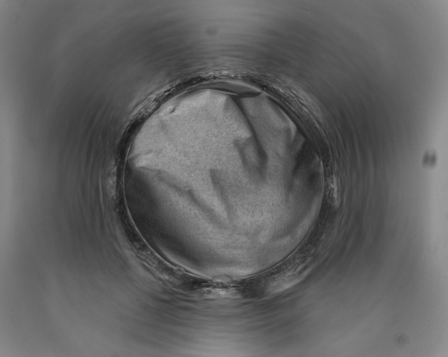 X0000089910552200707271716