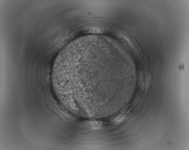 X0000089910553200707271717