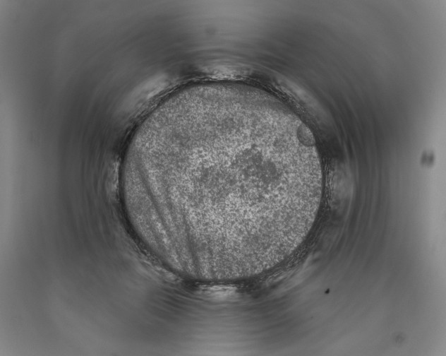 X0000089910554200707271717