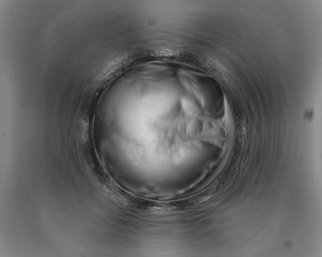 X0000089910556200707271717