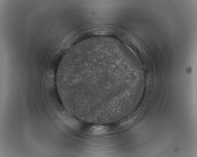 X0000089910557200707271717