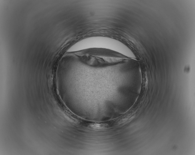 X0000089910558200707271717