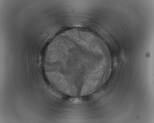 X0000089910559200707271717