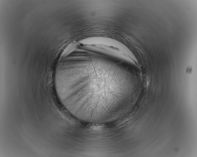 X0000089910560200707271717