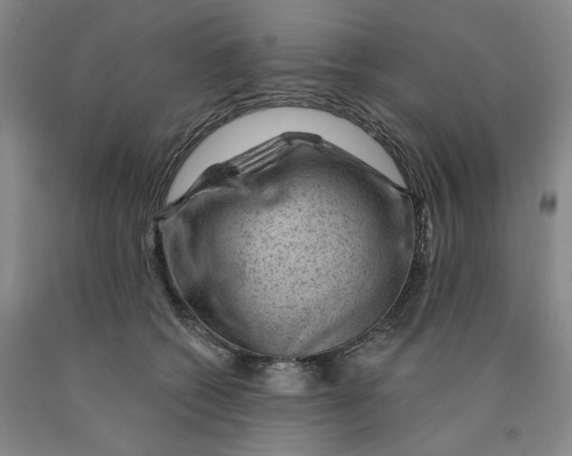 X0000089910562200707271717