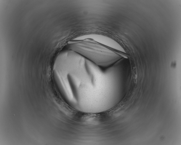 X0000089910563200707271717