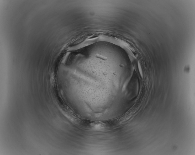 X0000089910564200707271717