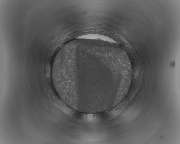 X0000089910565200707271717