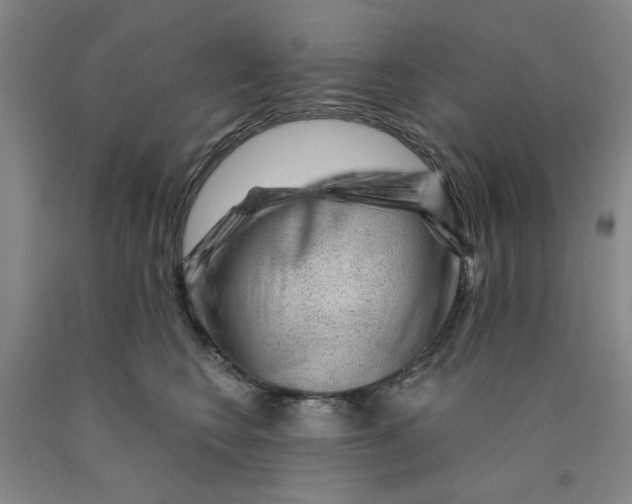 X0000089910566200707271717