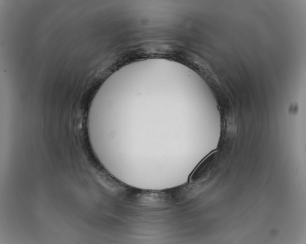 X0000089910567200707271717