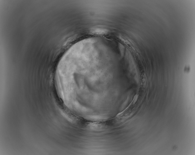 X0000089910568200707271717