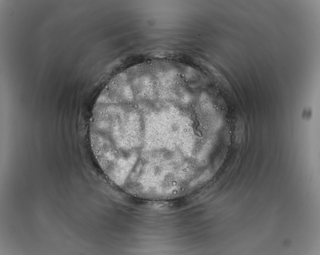 X0000089910569200707271717