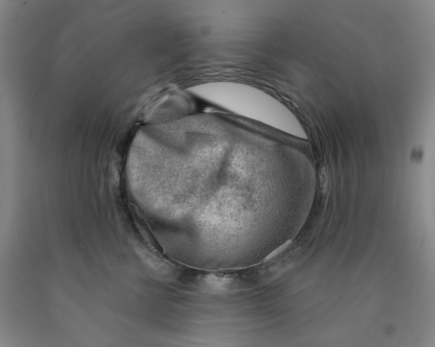 X0000089910570200707271717