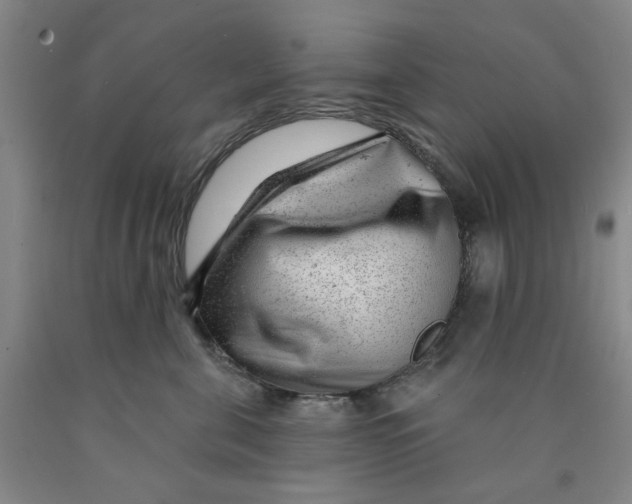 X0000089910571200707271717